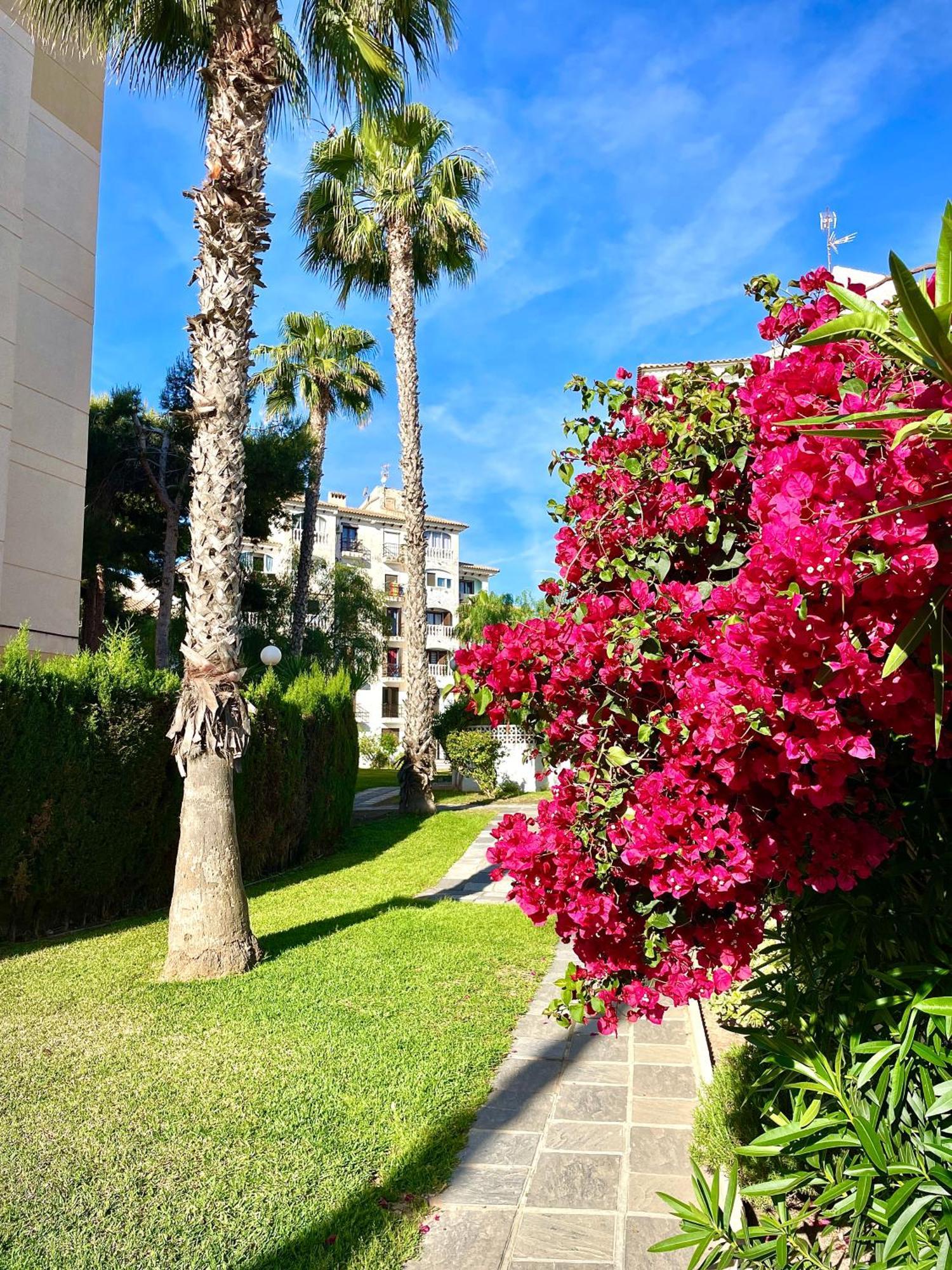 Calas Blancas Torrevieja Eksteriør bilde